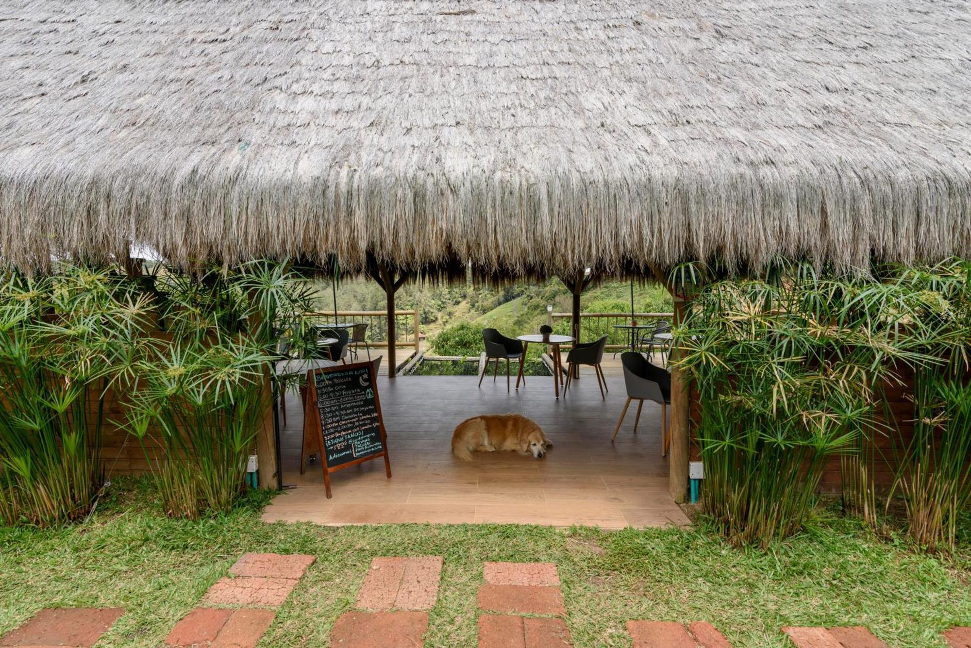 Levit Glamping - Hotel Guatape Penol (Adults Only) Guatapé Exterior foto
